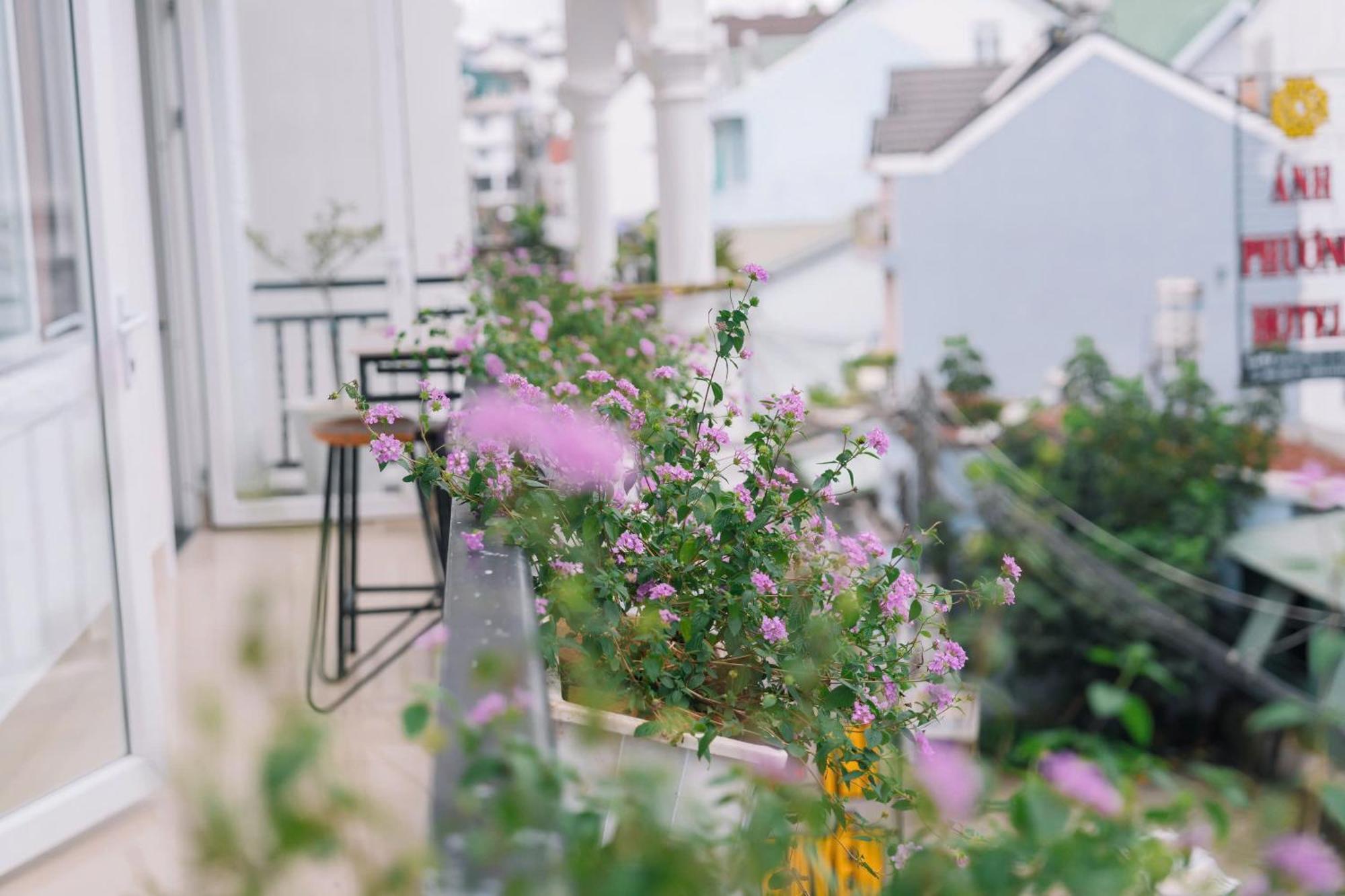 Cherry House דה לאט מראה חיצוני תמונה